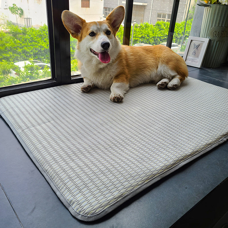 Dog Mat Sleeping With Pet Mat Summer Mat Anti Bite Mattress Cat Non Stick Hair Ice Mat Dog Mat