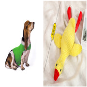 Anxiety Jacket Vest Summer Medical Treatment To Calm Down Cat Clothes Dog Comfort Clothes