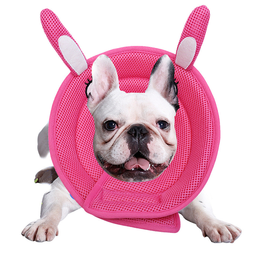 Pet Collar Cartoon Dog Cleaner Guard Elizabeth Circle Pet Collar