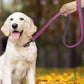 Pet Dog Leash Pull-resistant Leather Products