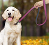 Pet Dog Leash Pull-resistant Leather Products