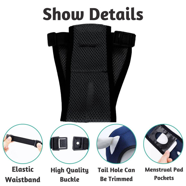 Breathable Female Canine Menstrual Panties Sanitary