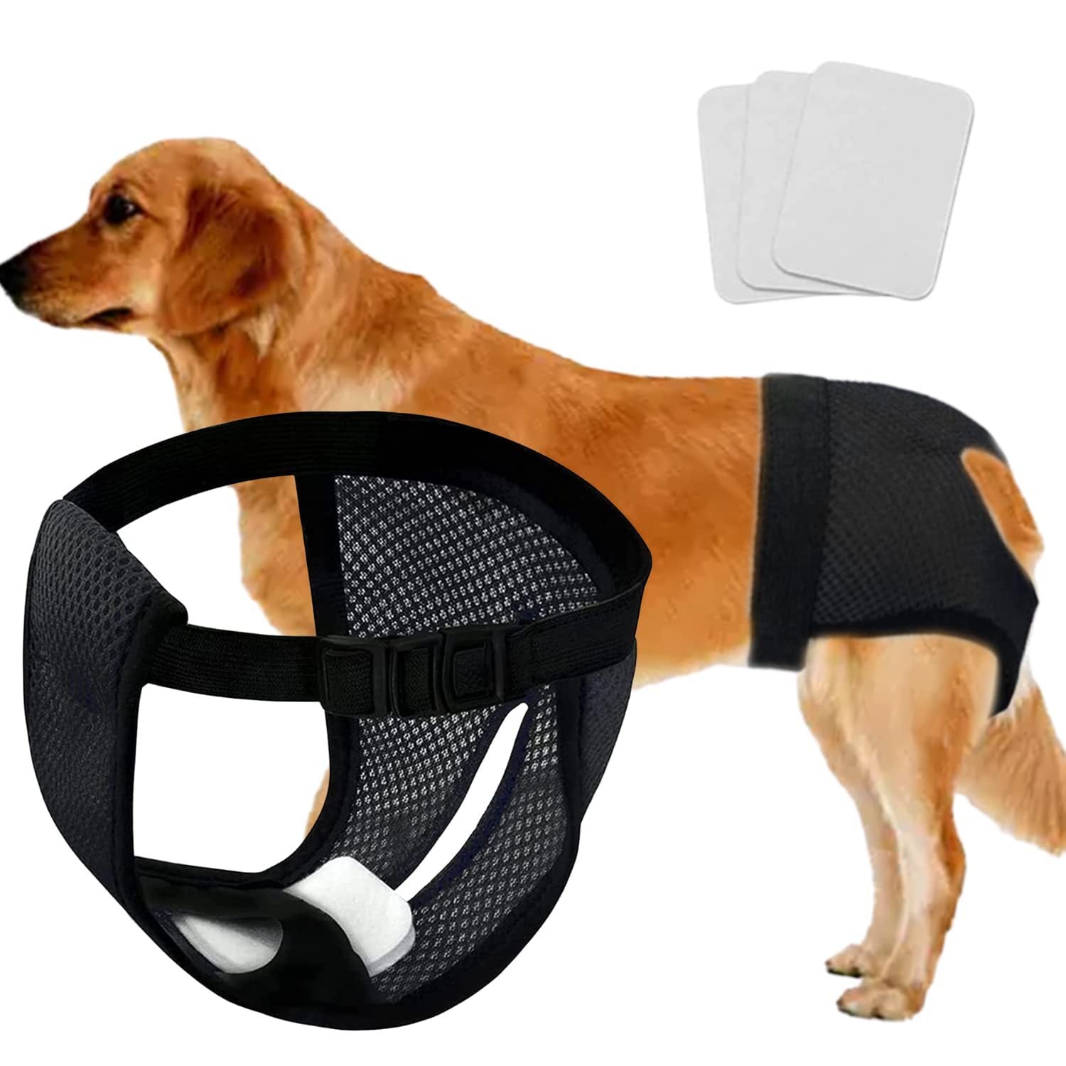 Canine Comfort For pet