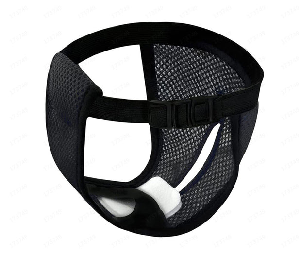 Breathable Female Canine Menstrual Panties Sanitary